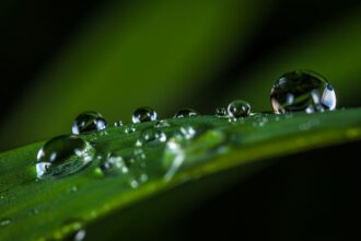Orzeczenie o niepełnosprawności to nie łatka
